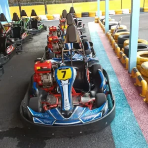 Adult Racing Go Kart 4 Stroke Gas Powered Drive Outdoor Use Red Modifiable Li Ion Battery 60km h Max Speed