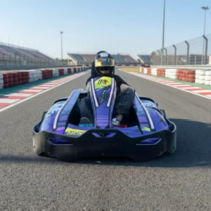 Adult Teen Single Seat Electric Go Kart 4000W 72V Mid Motor Racing Drift 70KM/H Commercial Rental Amusement Gocart