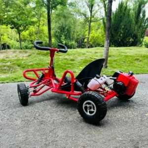 Adult Two Seater Off Road Go Kart Beach Buggy EPA Certified 4 Stroke Automatic Transmission for Two Person Use