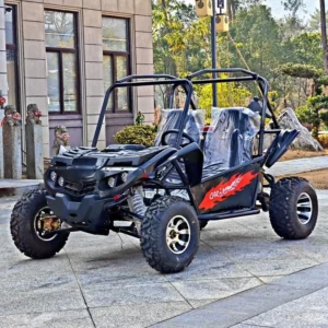All Terrain Gasoline Beach Buggy Go Kart Adult Double Person Mountain Cross Country Scenic Spot