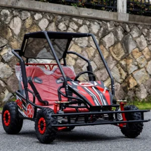 All terrain Family 2 seater Go kart 125cc Fuel powered 2 seat Off road Go kart for Plazas and Parks
