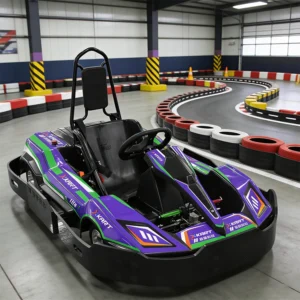 Amusement Park Commercial Electric Go Kart Drift Karting 28AH Battery 2500W Go Kart Go Karts for Sale