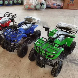 Amusement Park Electric Children’s Ride-On Car 24V Battery-Powered Rubber Tires Indoor/Outdoor Use 2 Kids Capacity