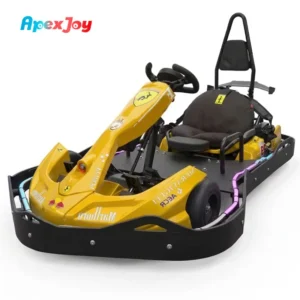 ApexJoy STAR Speed Family 800W Dual Motor Two Seater Electric Go Kart Adult Kids 40km/h 200kg Load