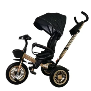 Baby Tricycle Mother Baby Stroller Bike Baby Ride on Tricycle