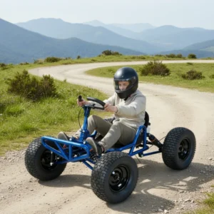 Big Tire Off Road Go Kart with Gas Engine Heavy Duty Single Seat Racing Buggy