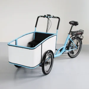 Cargo Bike 350W Electric Cargo Tricycles Three Wheels with Baby Seat for Kids and Daily Hauling