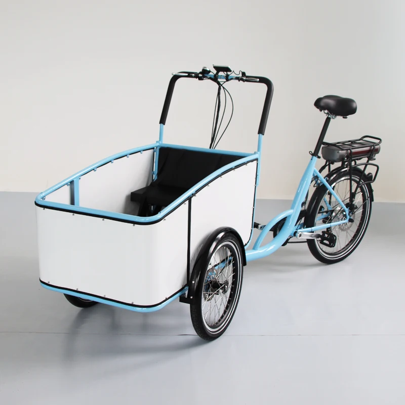 Cargo Bike 350W Electric Cargo Tricycles Three Wheels with Baby Seat for Kids and Daily Hauling