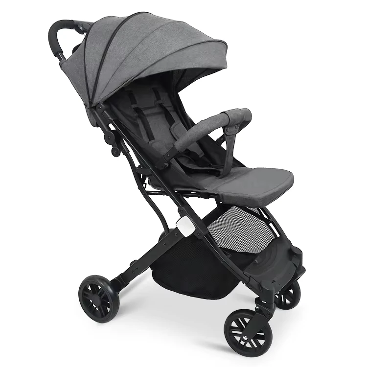 Carry on Baby Stroller 2 in 1
