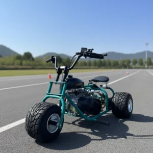 Chain Drive 3 Wheel Gas Go Kart Metal Frame 5 Inch Off Road Large Tyres 212cc Four Stroke Trike Road Heavy Duty Racing Buggy