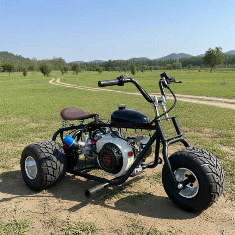 China Customized Tricycle Go Kart 212cc 4 Stroke 5 Inch Tires Off Road Racing Go Kart for Children Adults Outdoor Kart
