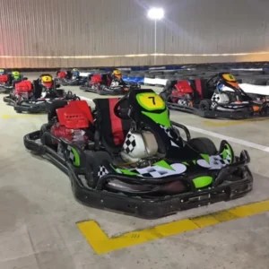 China Factory Go Cart Speed Racing 200cc with 10X4.50 5 11X7.10 5 Tubeless Tires