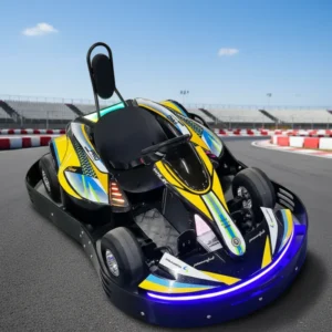 Chinese Factory Direct Sale Amusement Park Chain Drive Outdoor Electric Go Kart 60Km/H Max Speed