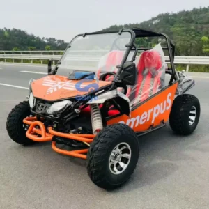 Chinese Manufacturer Color Custom 2 Seater Gasoline Go Karts off Road Club Car Scenic Area Use Mountain Drive Strong Power Kart