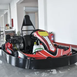 Commercial 60km h Gas Rental Go Karting for Adult Double Seat Go Cart for Amusement Park