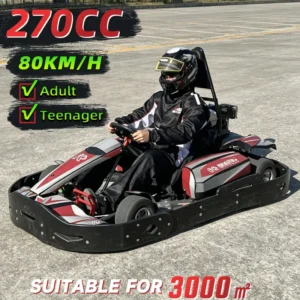 Commercial Adult Teen 270CC Gasoline Go Kart Racing Kart 80KM/H Rear Hydraulic Disc Brake