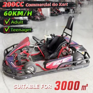 Commercial Adult Teen 4 Strokes Petrol Go Karts 200cc Drift Gasoline Engine Karting Car 60KM/H Rear Wheel Chain Shaft Drive