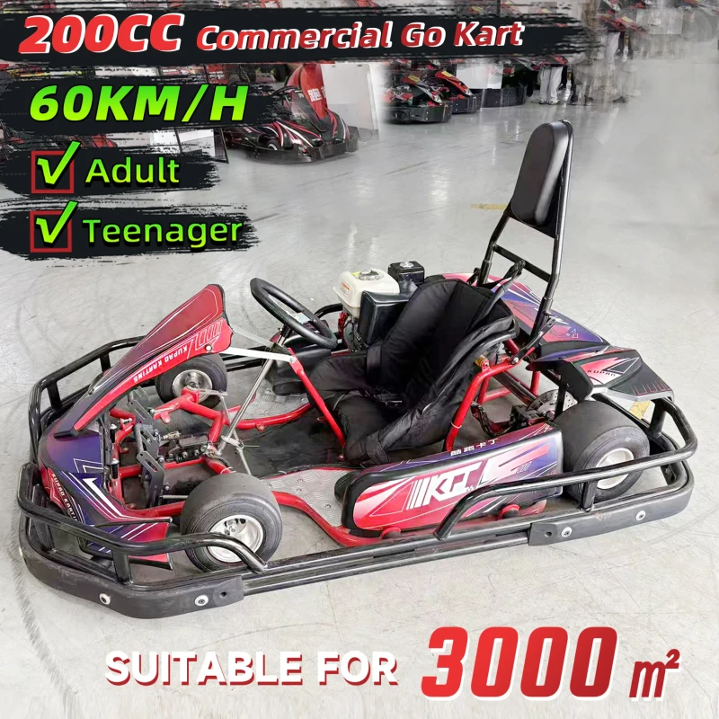 Commercial Adult Teen 4 Strokes Petrol Go Karts 200cc Drift Gasoline Engine Karting Car 60KM/H Rear Wheel Chain Shaft Drive