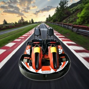Commercial Double Seat Go Kart FL200D for Rental Business Low Maintenance High Durability