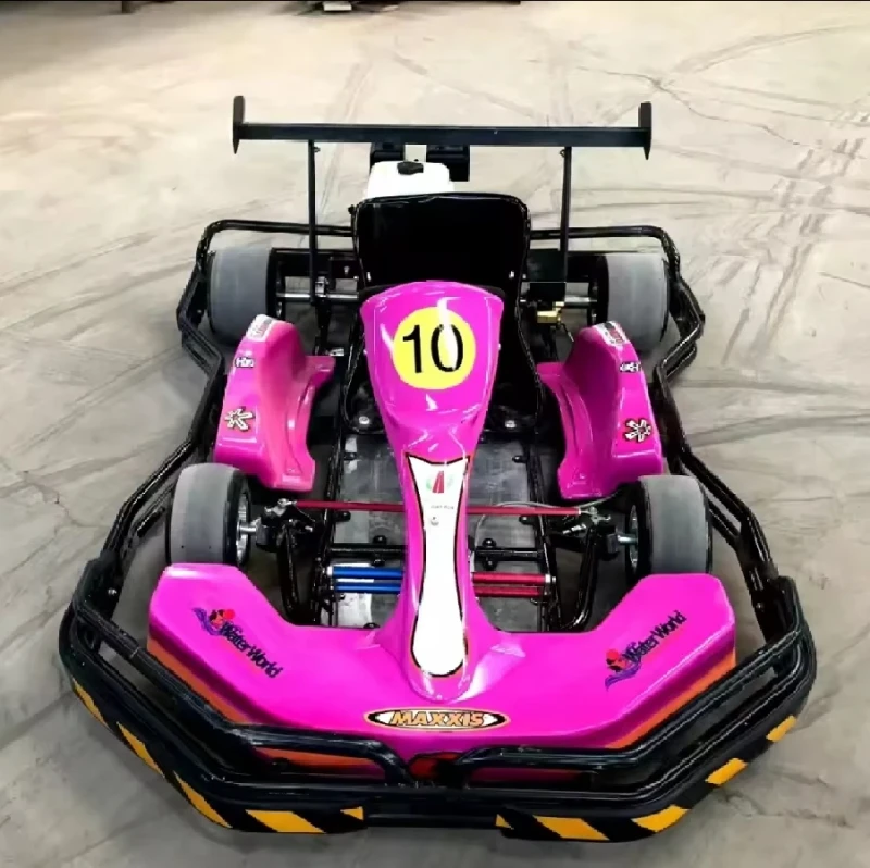 Competitive Racing Leagues and Rental Fleets Go-Kart Ride with a Focus on Durability