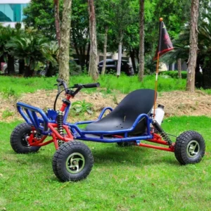 Creative Outdoor Racing Air cooled 4 Stroke Buggy Electric Go kart Adult Children Entertainment Race Drift Go Kart