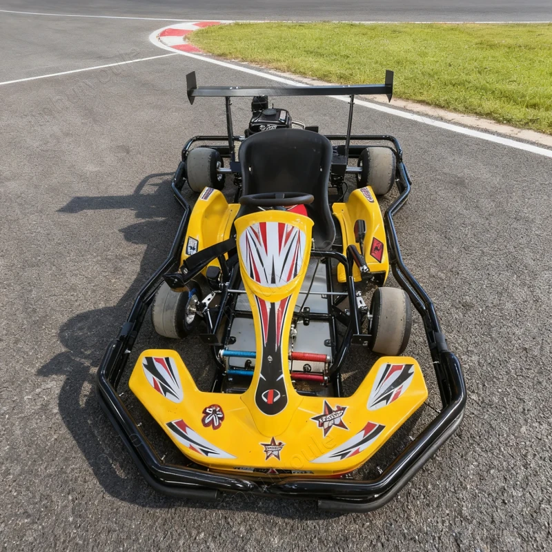 Custom 200cc 4 Stroke 4x4 Gasoline Engine Go Kart for Adults with 200kg Load Capacity