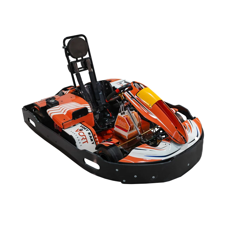 Custom Go Kart Adult Karting Gas Go Kart 125cc 200cc 270cc with Honda Go Karts GX200 High Speed for Amusement Park