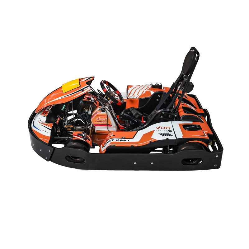 Custom Professional Go Kart 90cc 125cc 200cc 270cc 4 Stroke Karting Engine Adult Racing Go Karts for Rental