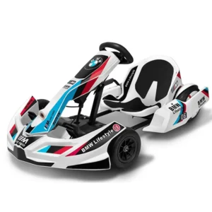 Customized Electric Go Carts Racing Karts Sets for Adults and Kids Racing