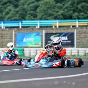 Customized Professional Racing Go Karts for Adults Competition 75Km 6.5L Durable Go Kart for Adults