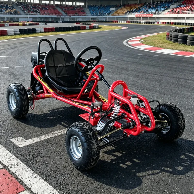 Dropshipping Overseas 270CC Wet Clutch Transmission Go Kart High Praise Buggy Full Suspension Track Racing Karting