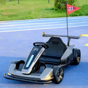 Dual Drive Electric Remote Controlled Go Kart with Disc Brake for Babies Adults Children Outdoor Use 12V New Model Drift Capable