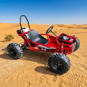 Durable Gas 4 Stroke 212cc Chain Drive Buggy Kart with Disc Brake for Outdoor Racing Kid & Adult Use 80km h Max Speed