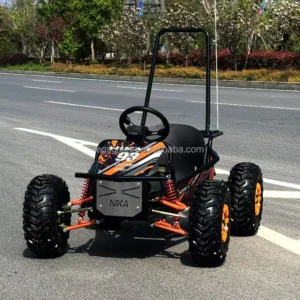 EGS Electric Go Kart Buggy 1000W 48V 20Ah Kids Adults Disc Brake Shaft Drive Off Road Tires 40km Range High Ground