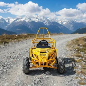 EPA ECE Certified Electric Go Kart Off Road 4WD with Disc Brakes 50Km/h Speed 50 70km Range