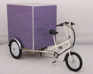 Electric Bakfiets Cargo Trike Rear Hub Motor Steel Frame Lithium Battery 500W Brushless 7 Speed Kids Transport Delivery Use