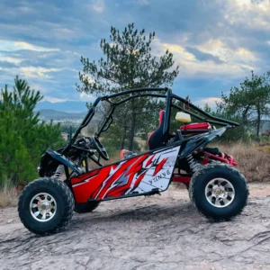 Electric & Gasoline 200CC UTV Go Kart 2 Seats Adults Go Kart Off Road Sand Buggy Electric Racing Go Kart