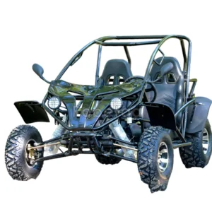 Electric Go Kart Car Adults Go Karts With Roll Cage Go Kart 200cc
