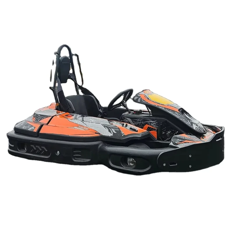 Electric Go Kart Elettrico 1 Seater Heavy Duty Adult Kids Sport Racing Car for Sale