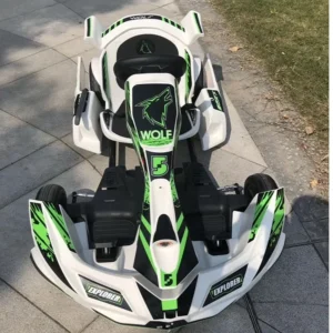 Electric Go Kart Good Quality New Style Adult