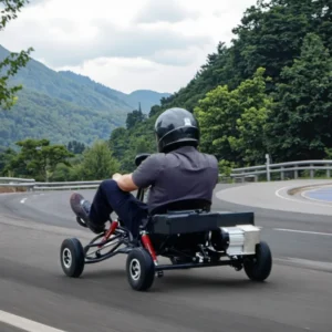Electric Go Kart for Adults Outdoor Road & Off Road Use 750W Power 30km/h Max Speed