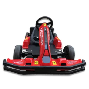 Electric Go Karting Car Outdoor Race Pedal Kart for Kids Adults with 350W Brushless Motor and 100kg Capacity