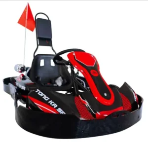 Electric Go Karts (EGK 018)