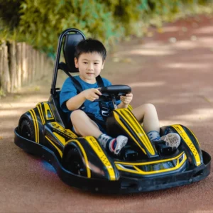 Electric Go Karts for Kids Toddler Aged 3-12 Battery Powered Factory Rental Karts