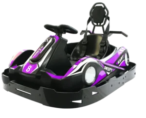 Electric Go kart Adult Child Double Seat High Quality Drift Commercial Junior Karting for Rent