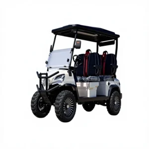 Electric Golf Cart Off Road Club Car Lithium Battery 48v 60V 72v 6 Seater Beach Buggy