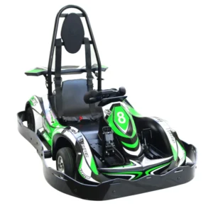Electric High-Speed Racing Go Kart for Teen and Adult Use with Dual Motor Drive and 45km/h Max Speed