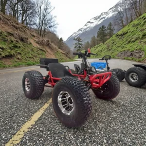 Electric Off road Drifting Kart 1000W 48V 10 inch Tires Chain Drive 250kg Load Capacity 45km/h Max Speed for Adults and Teens