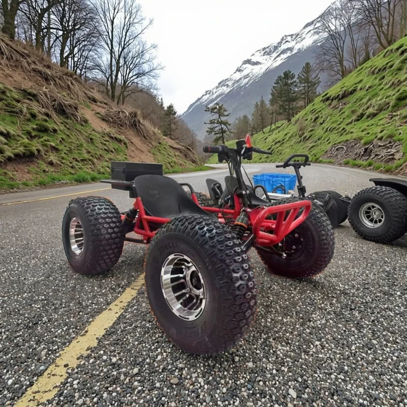Electric Off road Drifting Kart 1000W 48V 10 inch Tires Chain Drive 250kg Load Capacity 45km/h Max Speed for Adults and Teens