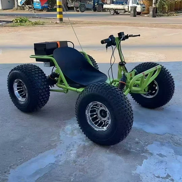 Electric Racing Go Kart with Differential Drive Top Speed 45km/h Off-Road Kart for Children and Adults Stylish Go Kart